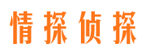 陇县市婚外情调查